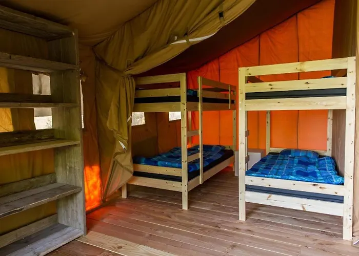 Safaritent Op En Kindvriendelijk Park Op De Veluwe