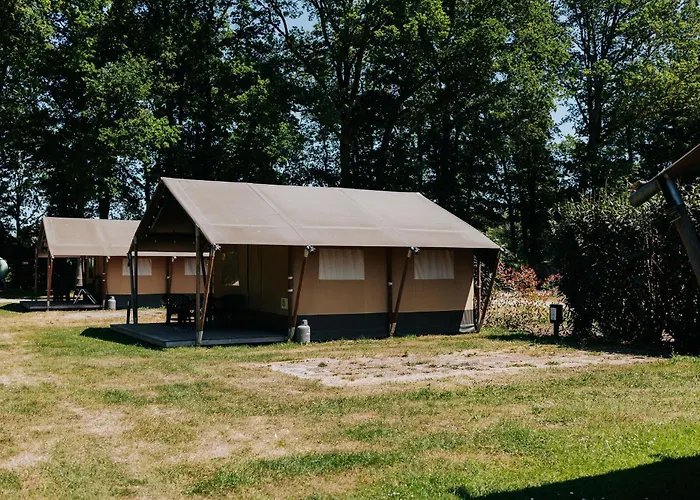 Luxury tent Safaritent Op En Kindvriendelijk Park Op De Veluwe